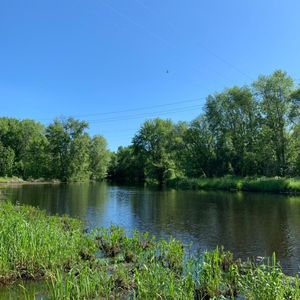 Meet your Posher, Jake